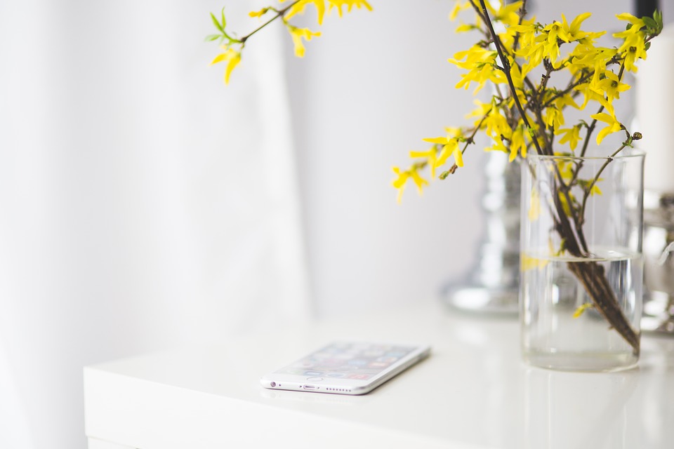 iphone-791450_960_720